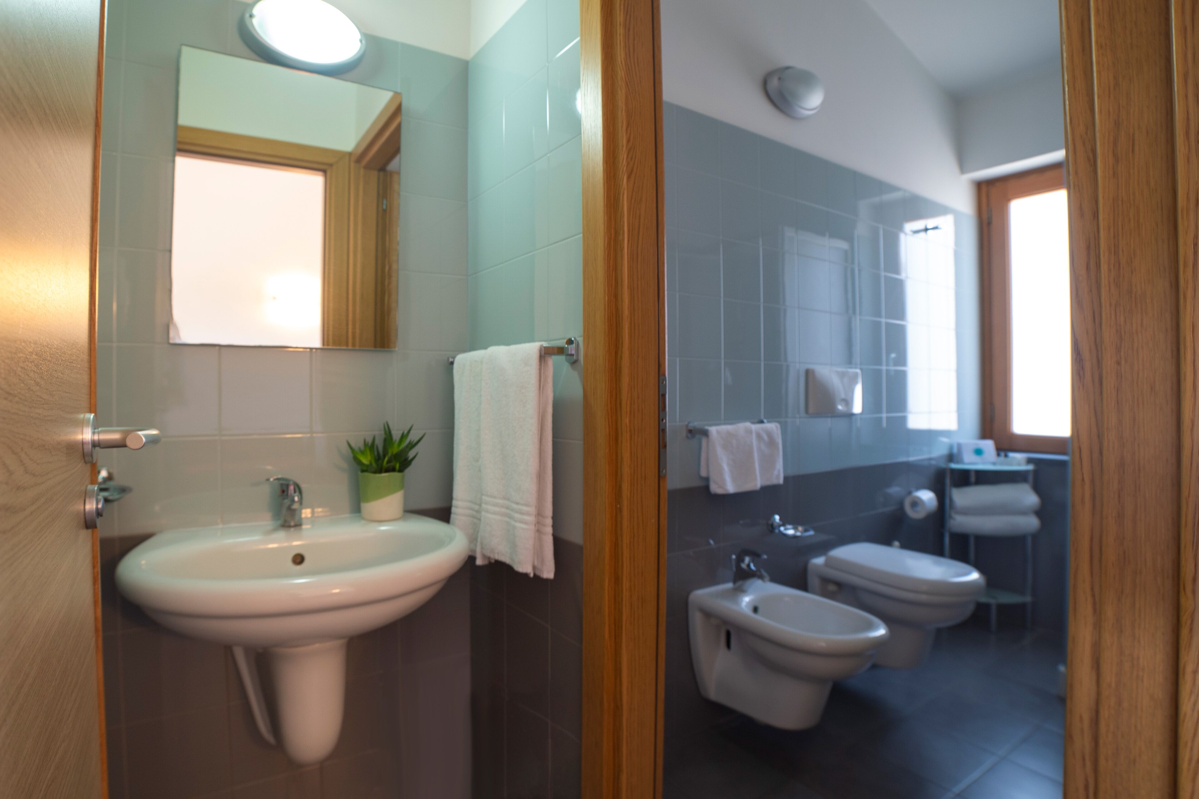 A modern bathroom with a sink, mirror, bidet, and towel rack.