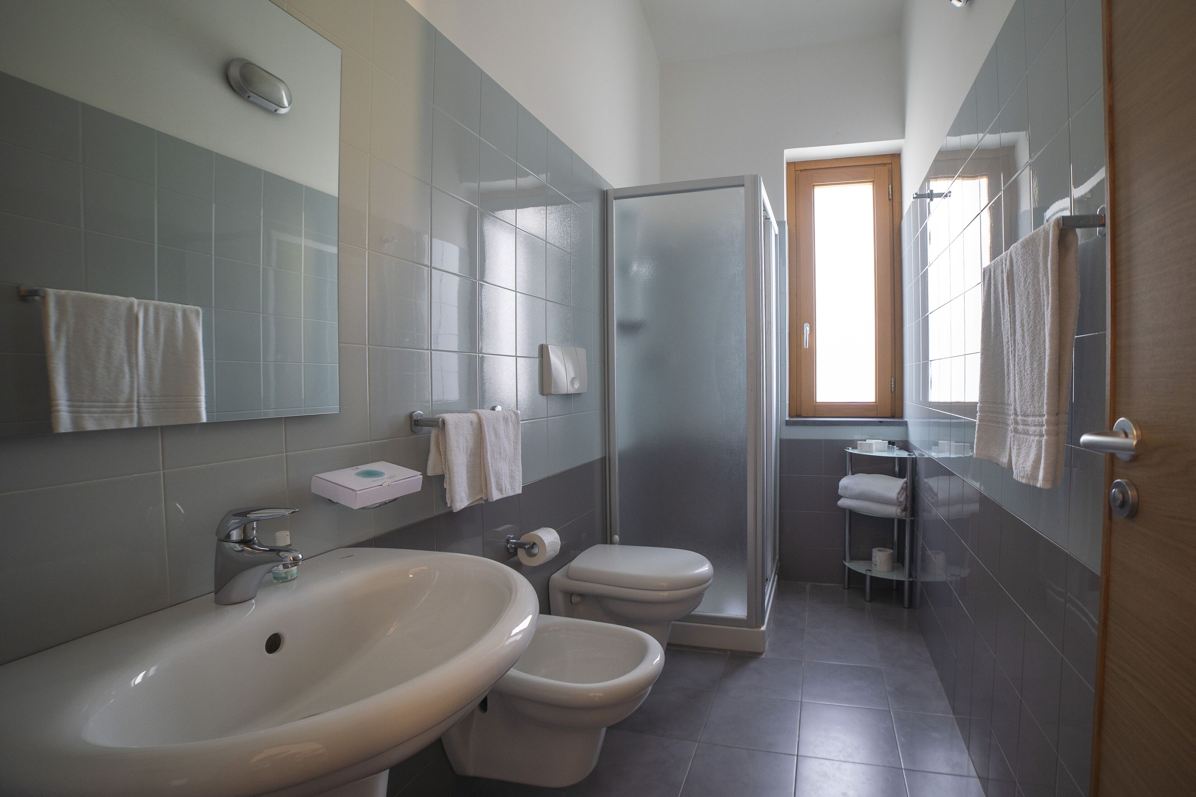 shower, free toiletries, hair dryer, bidet