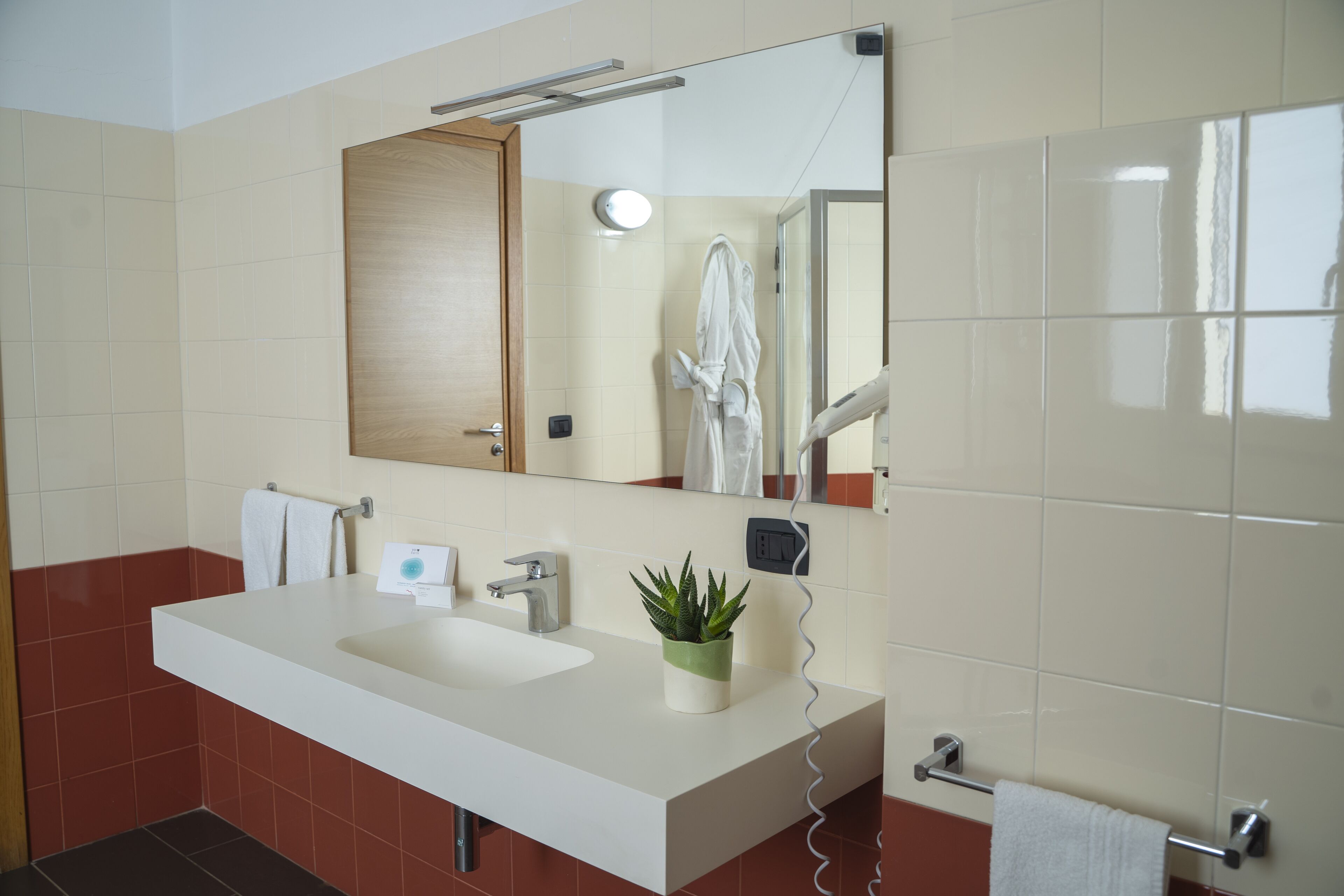 shower, free toiletries, hair dryer, bidet