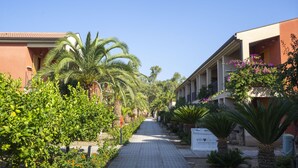 Un sendero bordeado de palmeras y plantas en flor, que conduce a un edificio con balcones y un letrero que dice 'Volo Earth'.