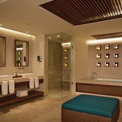 Presidential Suite Swim Out | Bathroom | Separate tub and shower, jetted tub, free toiletries, hair dryer