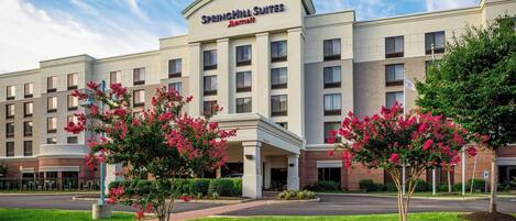A SpringHill Suites hotel with a modern facade, multiple floors, and a landscaped entrance with pink flowering trees.