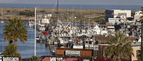 A marina with boats docked, a sign for 'Giovanni's Fish Market & Galley', and a view of the ocean and hills in the background.