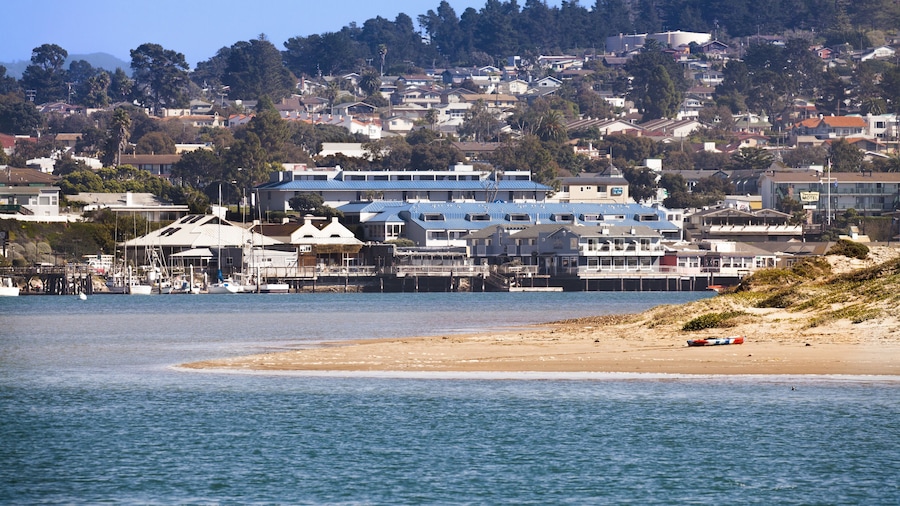 Blue Sail Inn