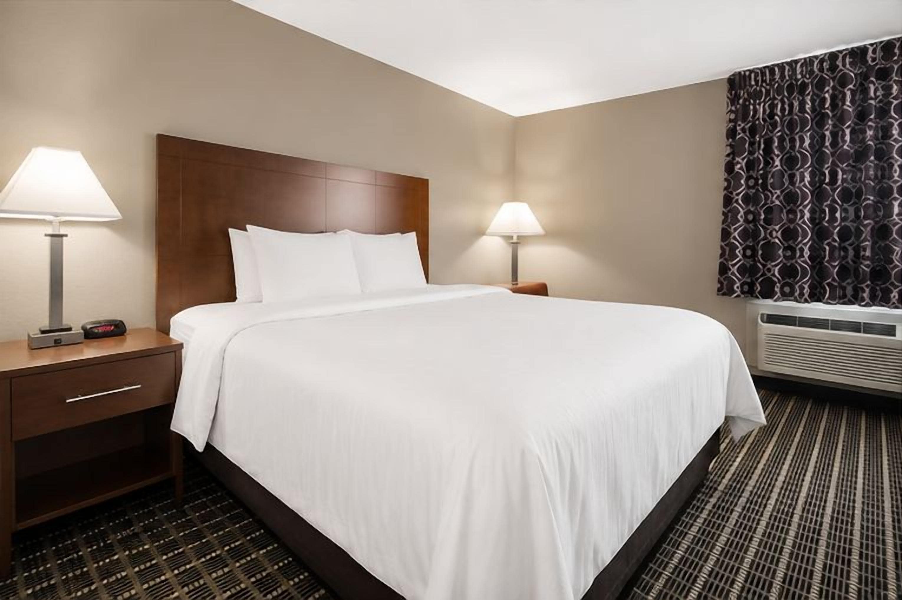 A hotel room with a large bed, a nightstand with a lamp, a heater, and a patterned curtain.