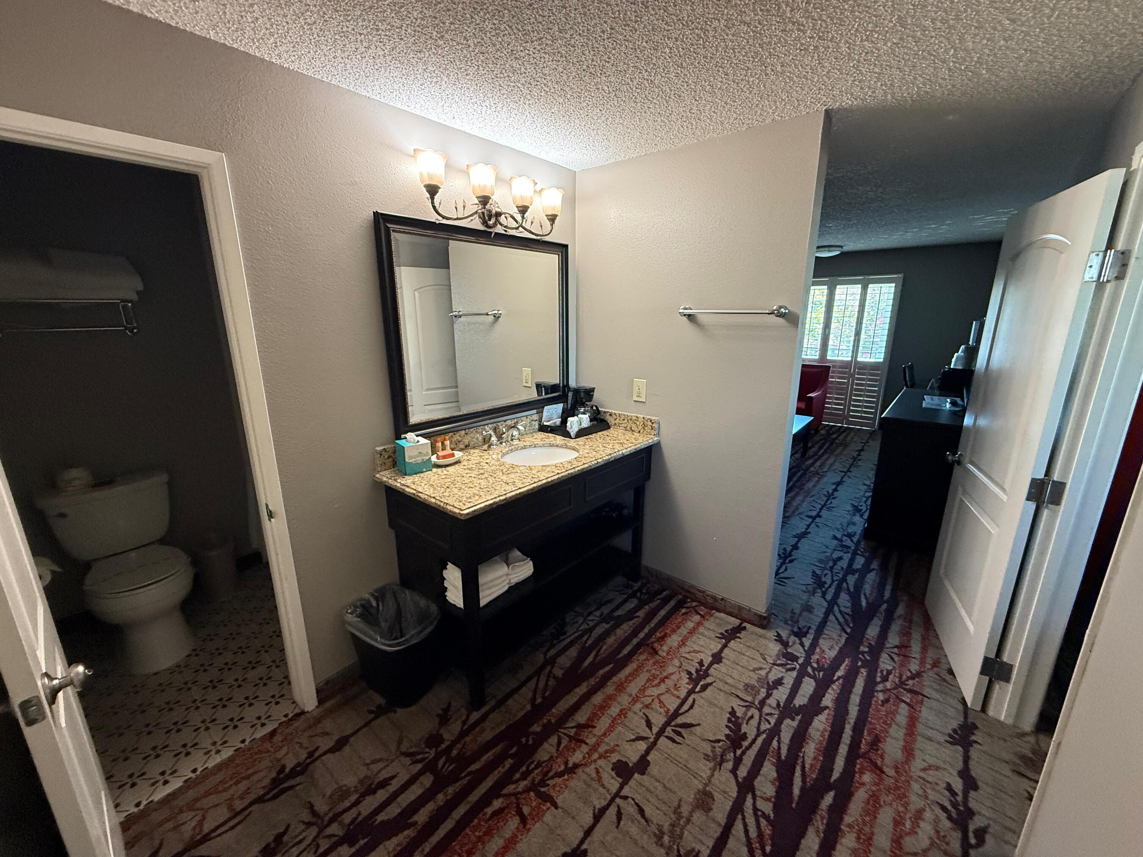 A hotel bathroom with a sink, mirror, and toilet.