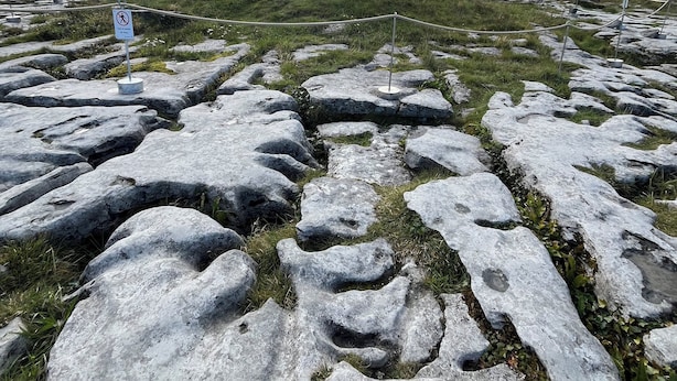A stone circle with a central standing stone, surrounded by smaller stones and grassy terrain. - Rathbaun Hotel (Lisdoonvarna)