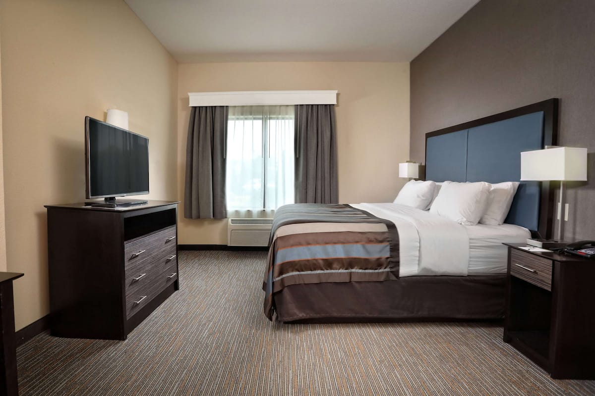 Down comforters, desk, laptop workspace, blackout drapes