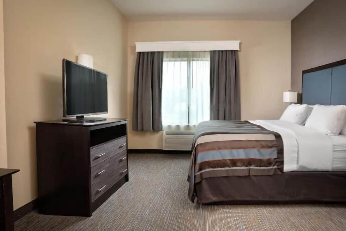Habitación de hotel con cama, televisor en una cómoda, ventana con cortinas y mesita de noche con lámpara.
