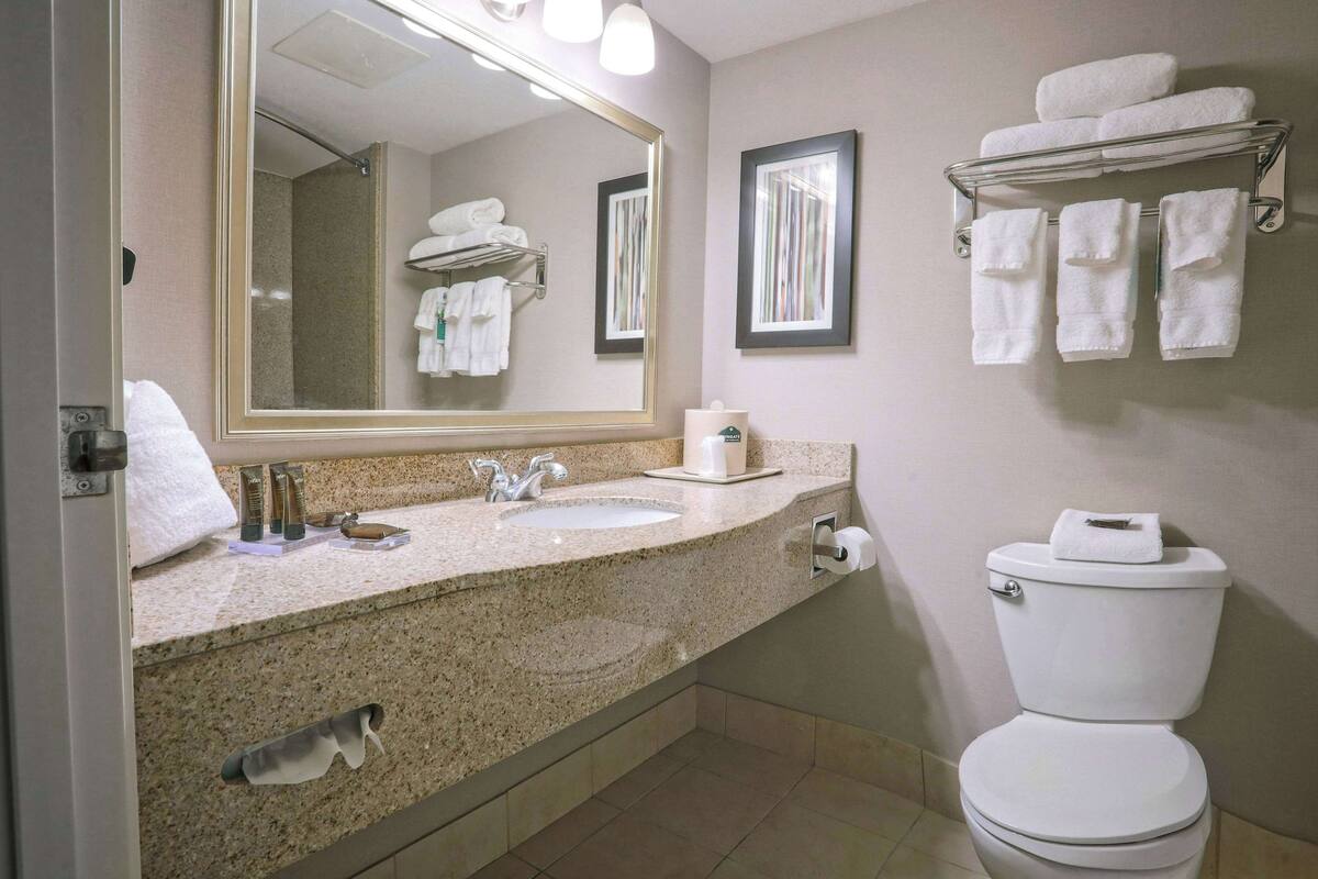 combined shower/bathtub, free toiletries, hair dryer, towels