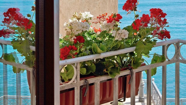 Un balcon donnant sur la mer, une colonne et des plantes en pot.