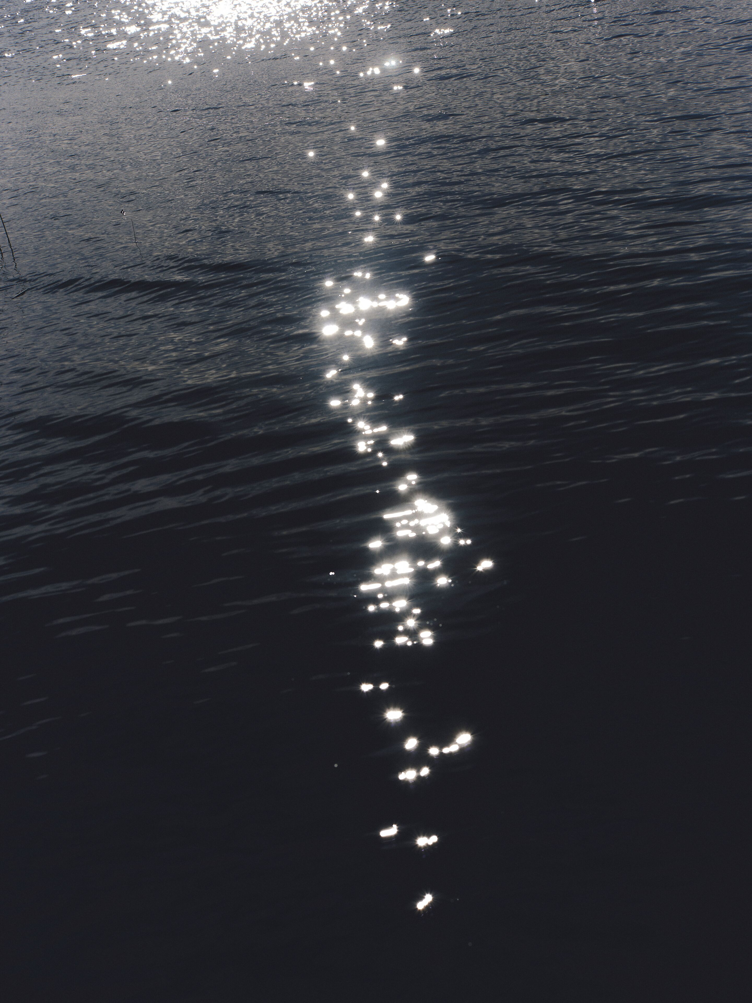 A body of water reflecting sunlight, creating a pattern of bright spots.