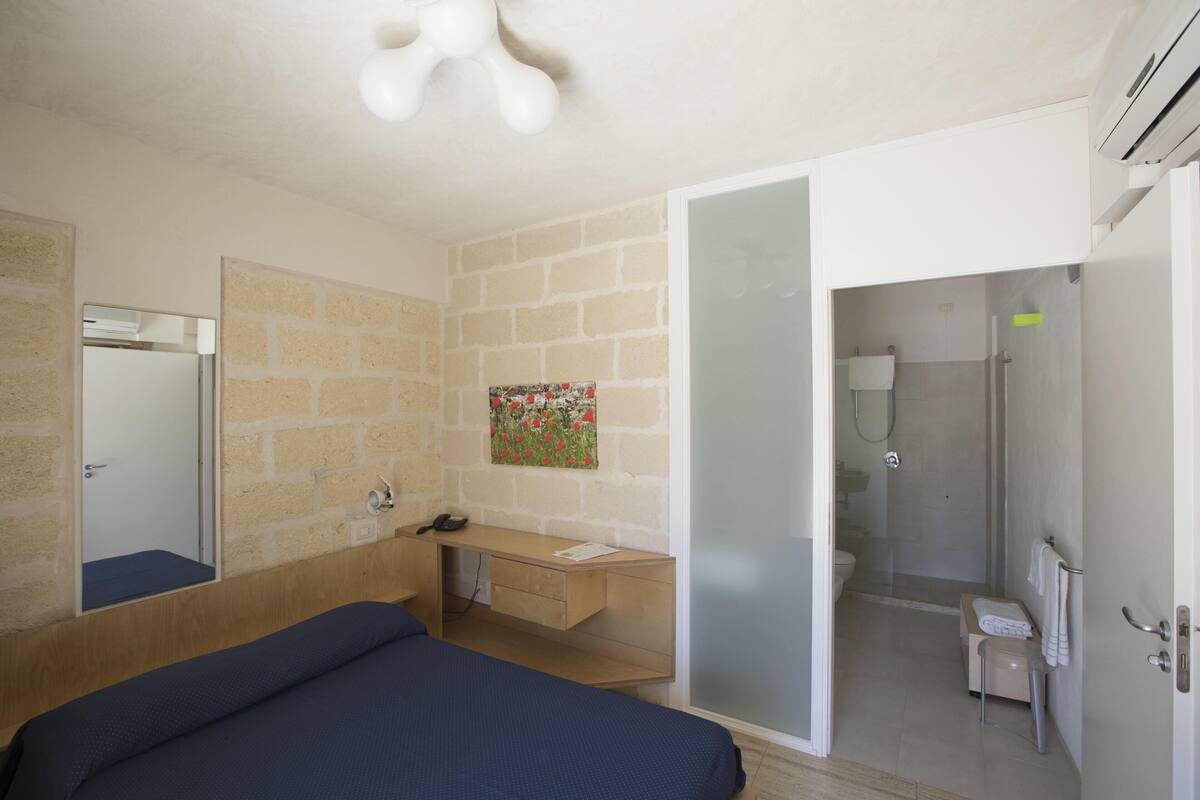 Une chambre à coucher comprenant un lit, un bureau, un miroir et une salle de bain avec douche et toilettes.