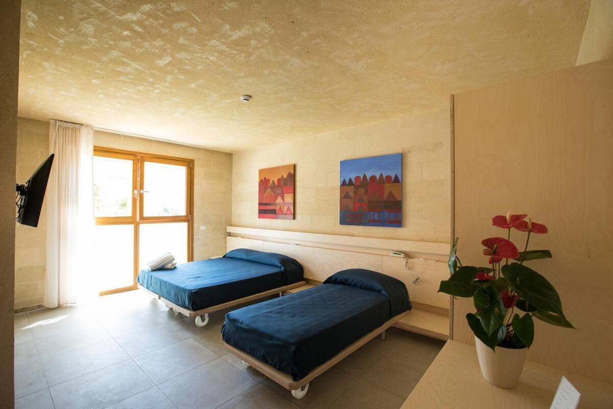Une chambre avec deux lits simples, une grande fenêtre et une plante en pot.