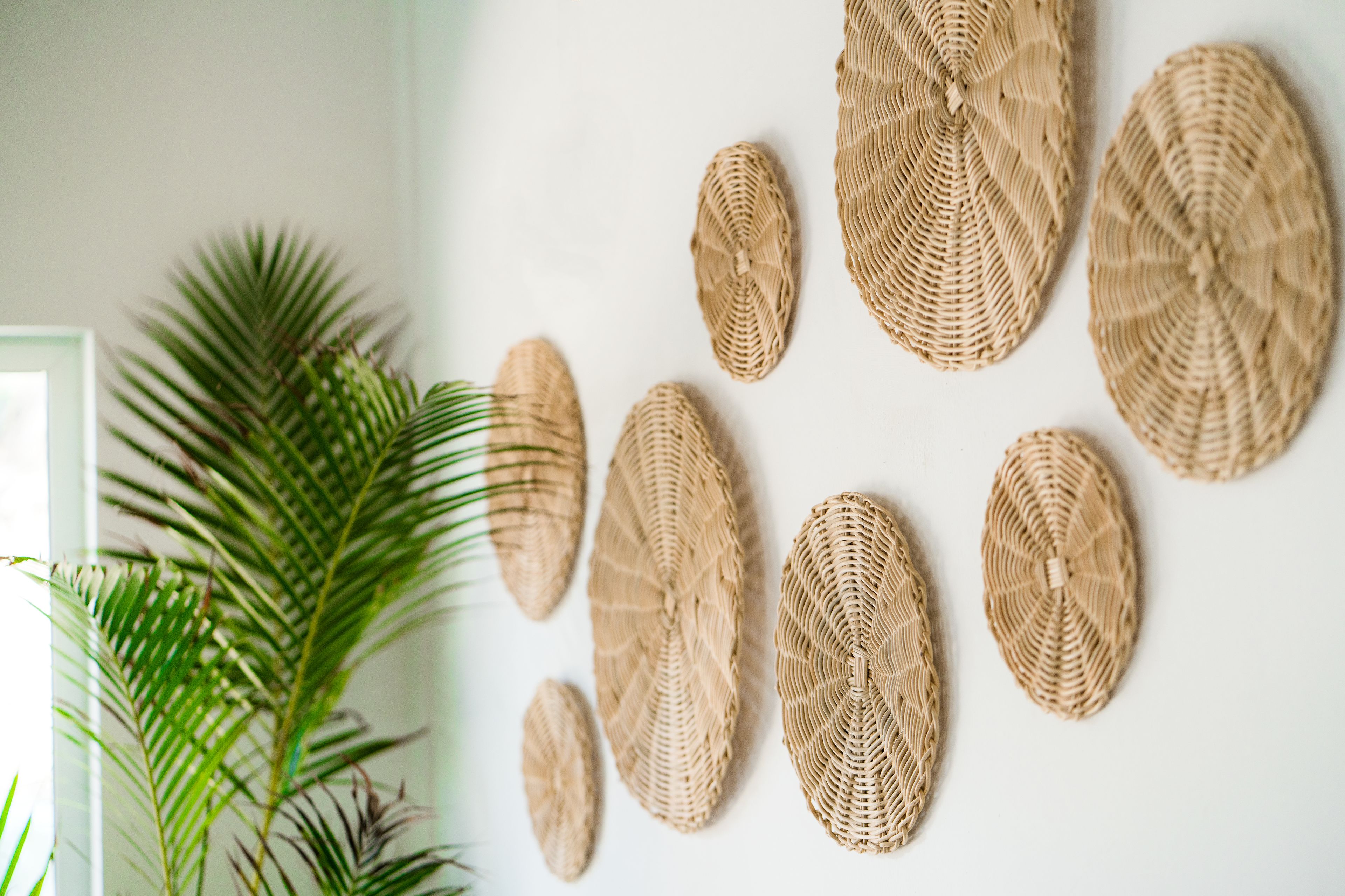 Una pared decorada con varios tapices tejidos y una gran planta de palma verde.