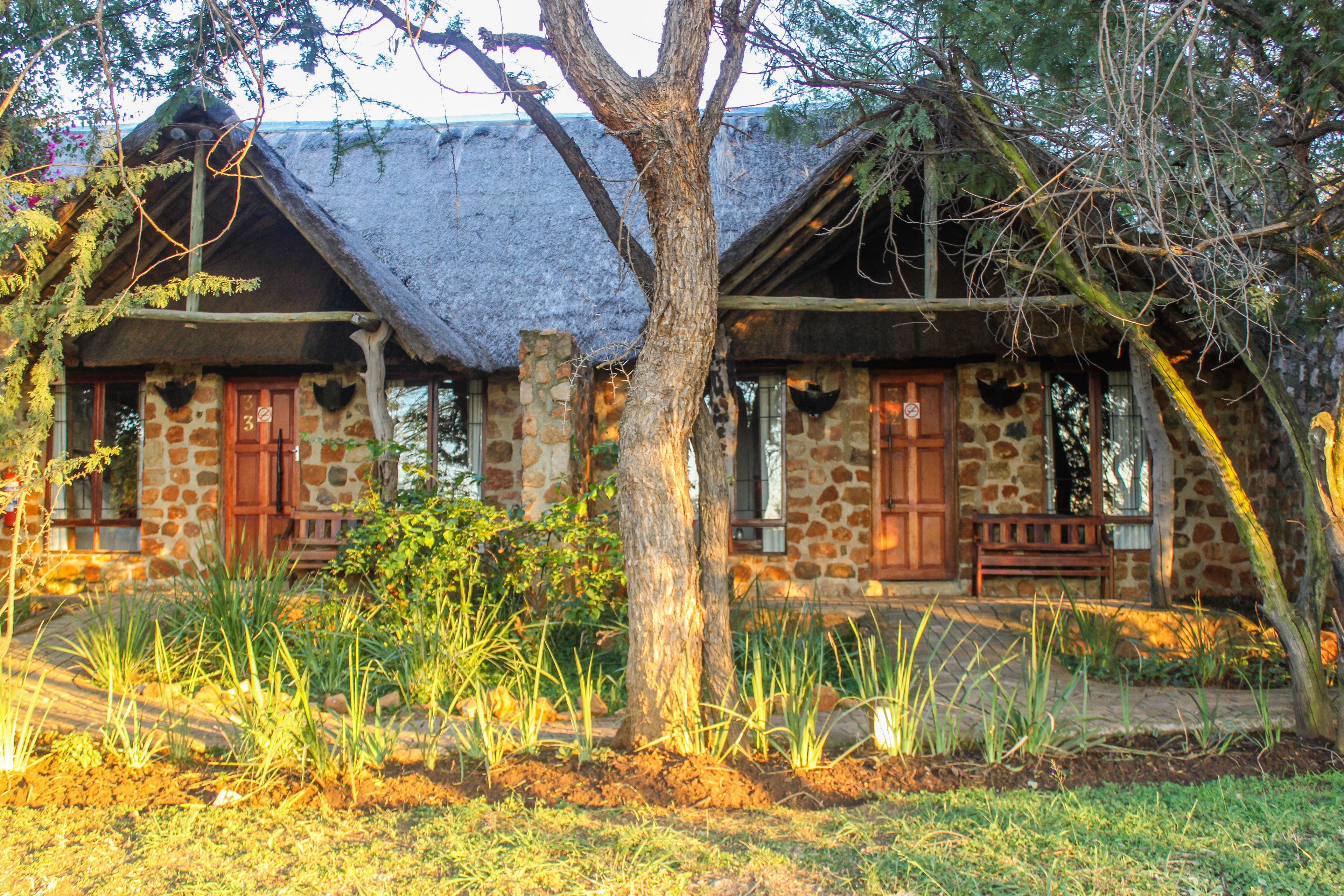 A rustic stone building with a thatched roof, surrounded by lush greenery and a large tree in the foreground.