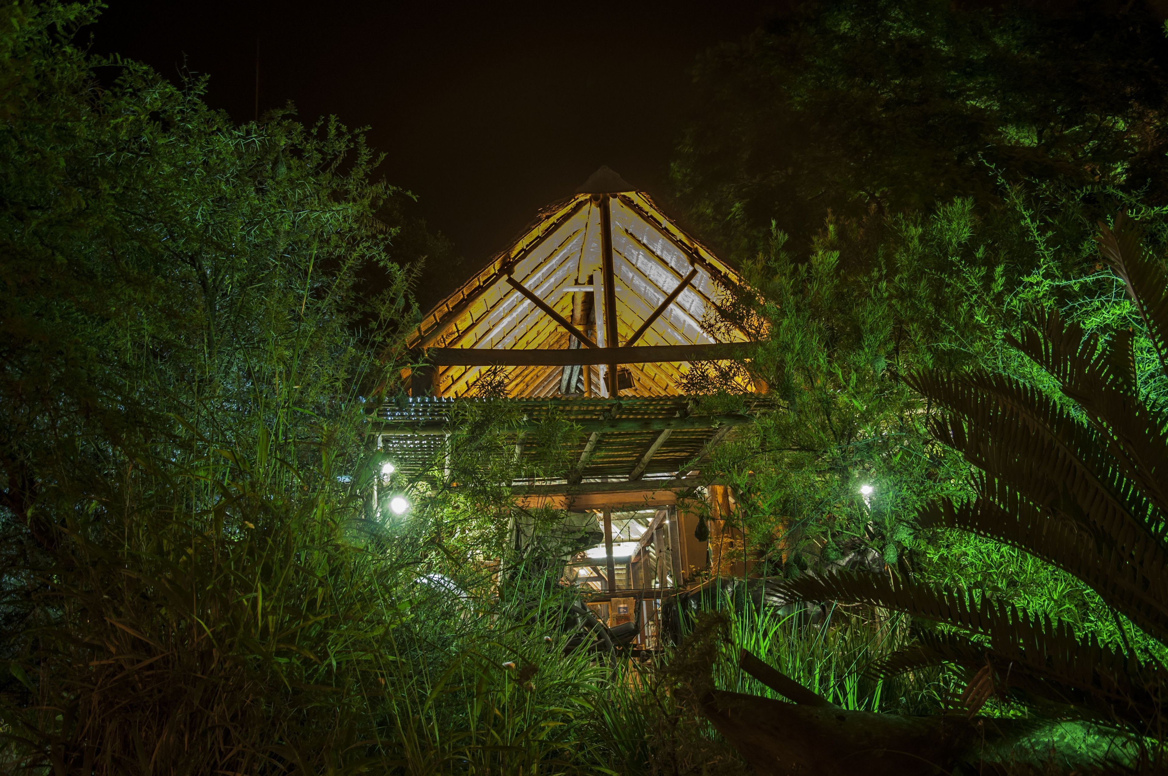 A triangular structure with a roof, surrounded by dense foliage.