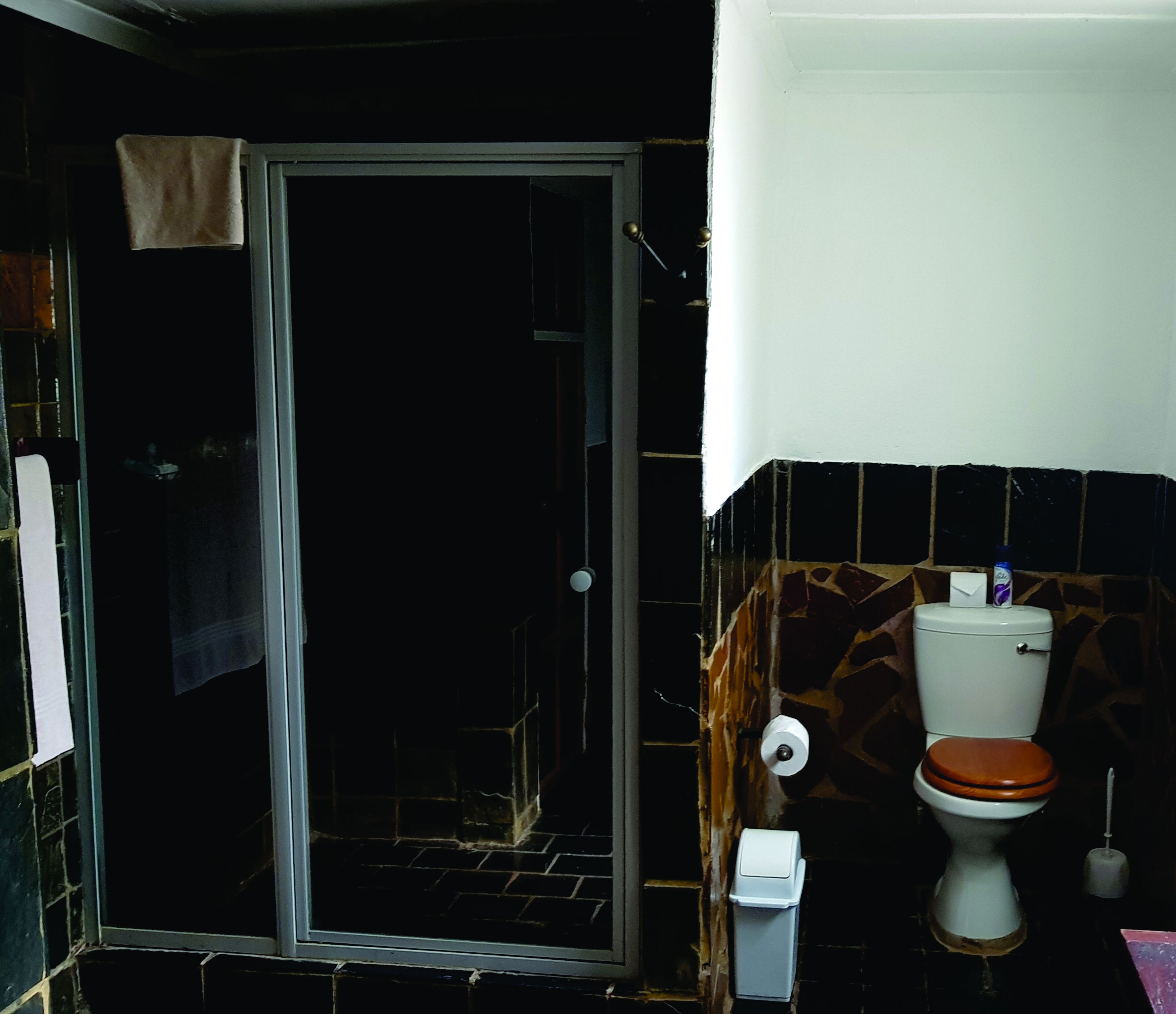 A bathroom with a toilet, a shower, and a towel hanging on the door.