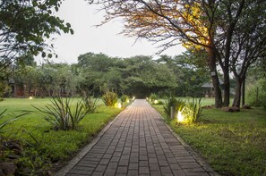 Vista desde la habitación
