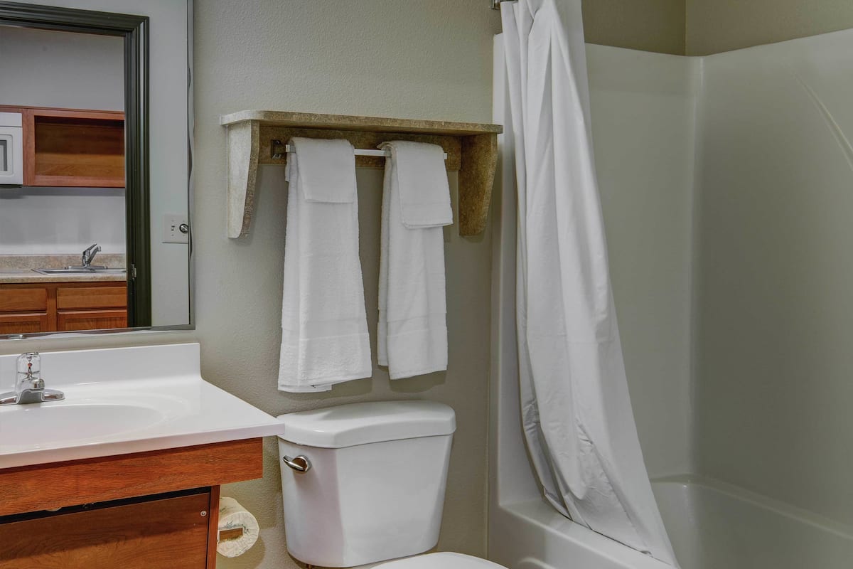 combined shower/bathtub, hair dryer, towels