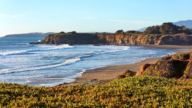 A coastal landscape with a beach, waves, and vegetation.