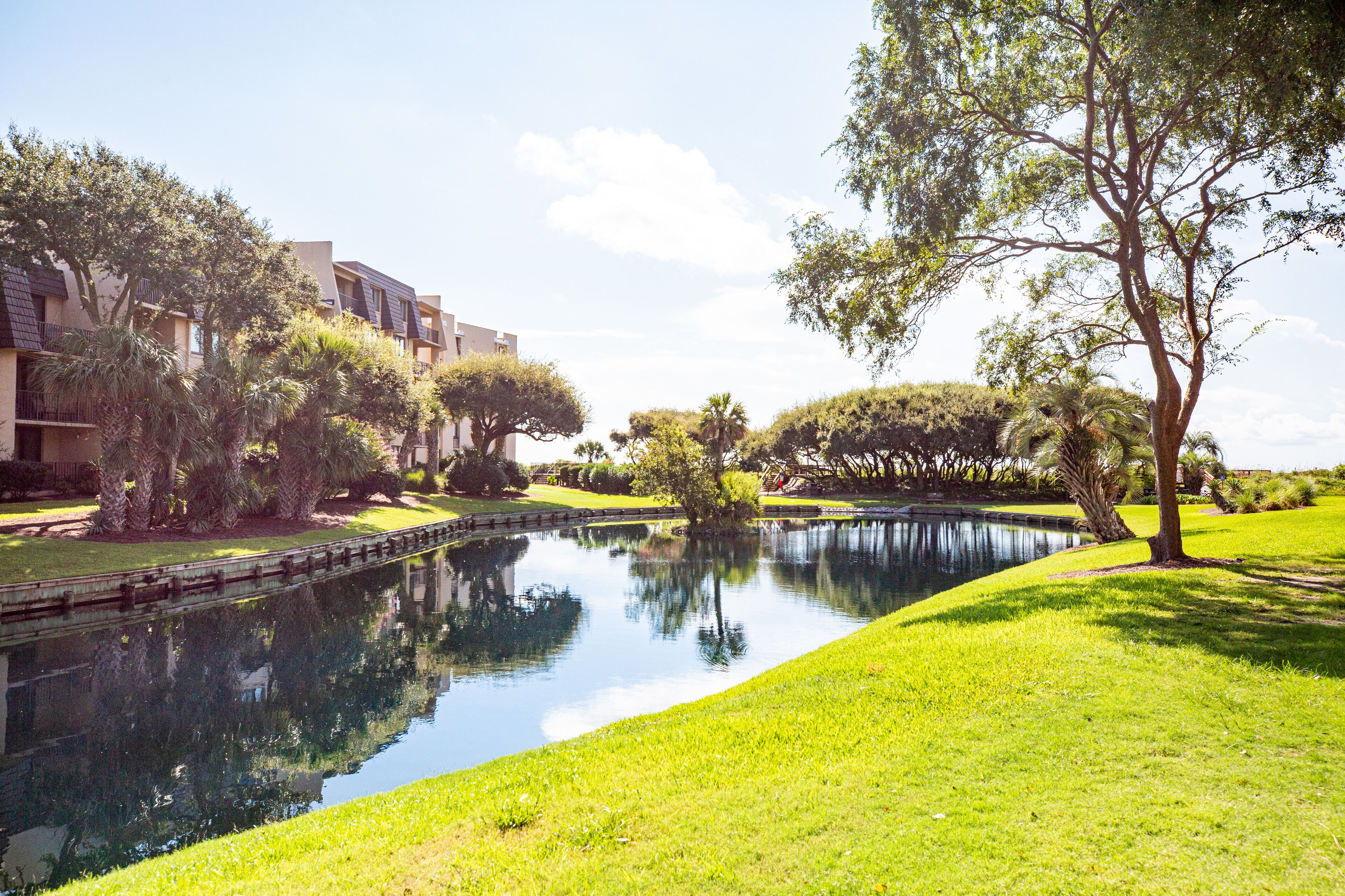 A serene courtyard with a pond, lush greenery, and modern buildings.