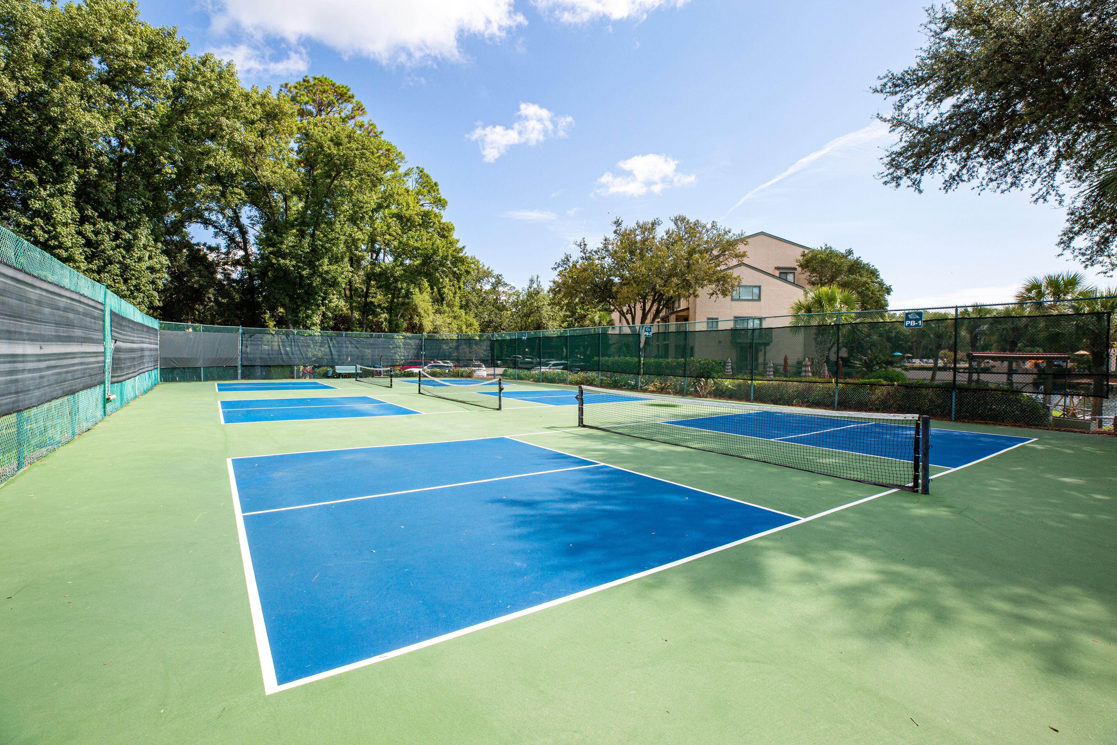 A tennis court with multiple courts, surrounded by trees and a fence.