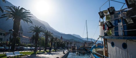 A waterfront promenade with boats docked, palm trees, and buildings in the background.