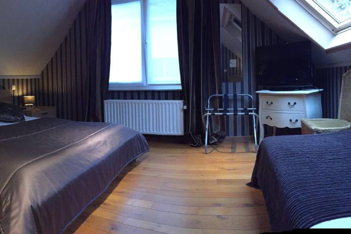 A bedroom with a large bed, bedside tables, a TV, and a window.