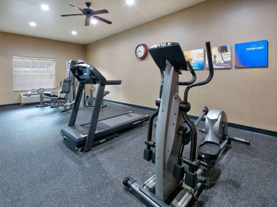 A gym with treadmills, elliptical machines, and a ceiling fan.