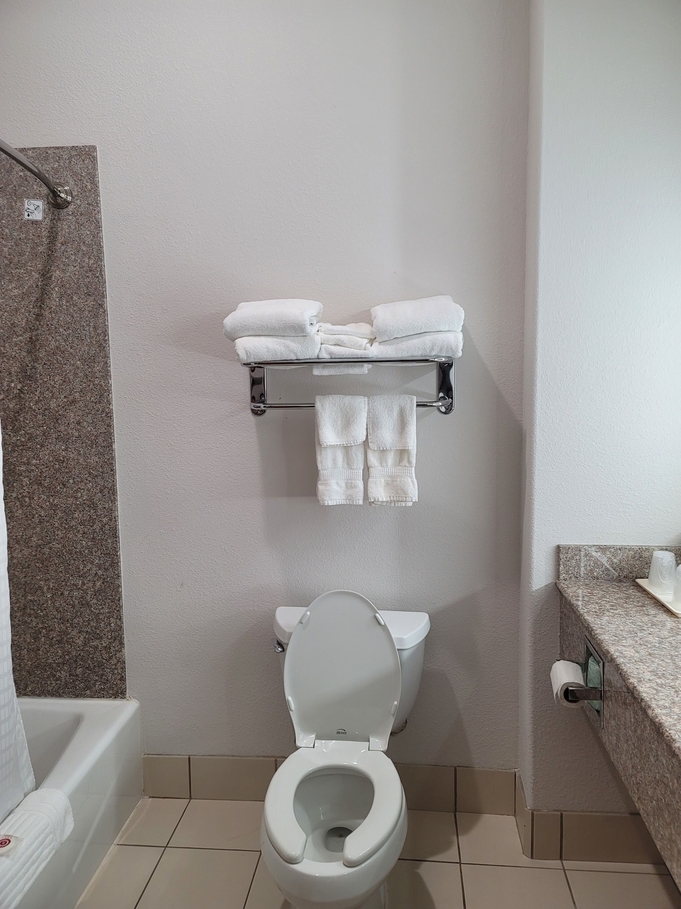 combined shower/bathtub, free toiletries, hair dryer, towels