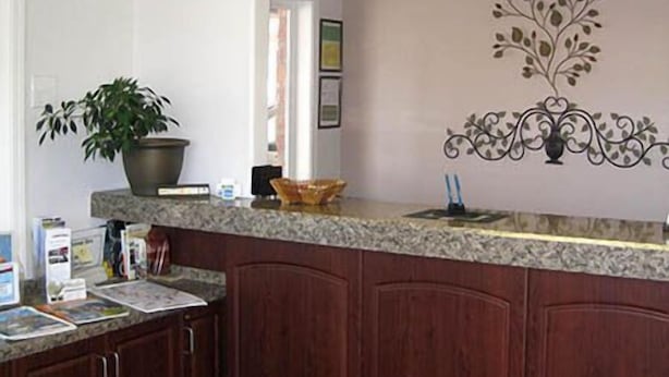 A kitchen with a granite countertop, wooden cabinets, a potted plant, and a decorative wall piece. - Interstate 8 Motel (Lakeview)