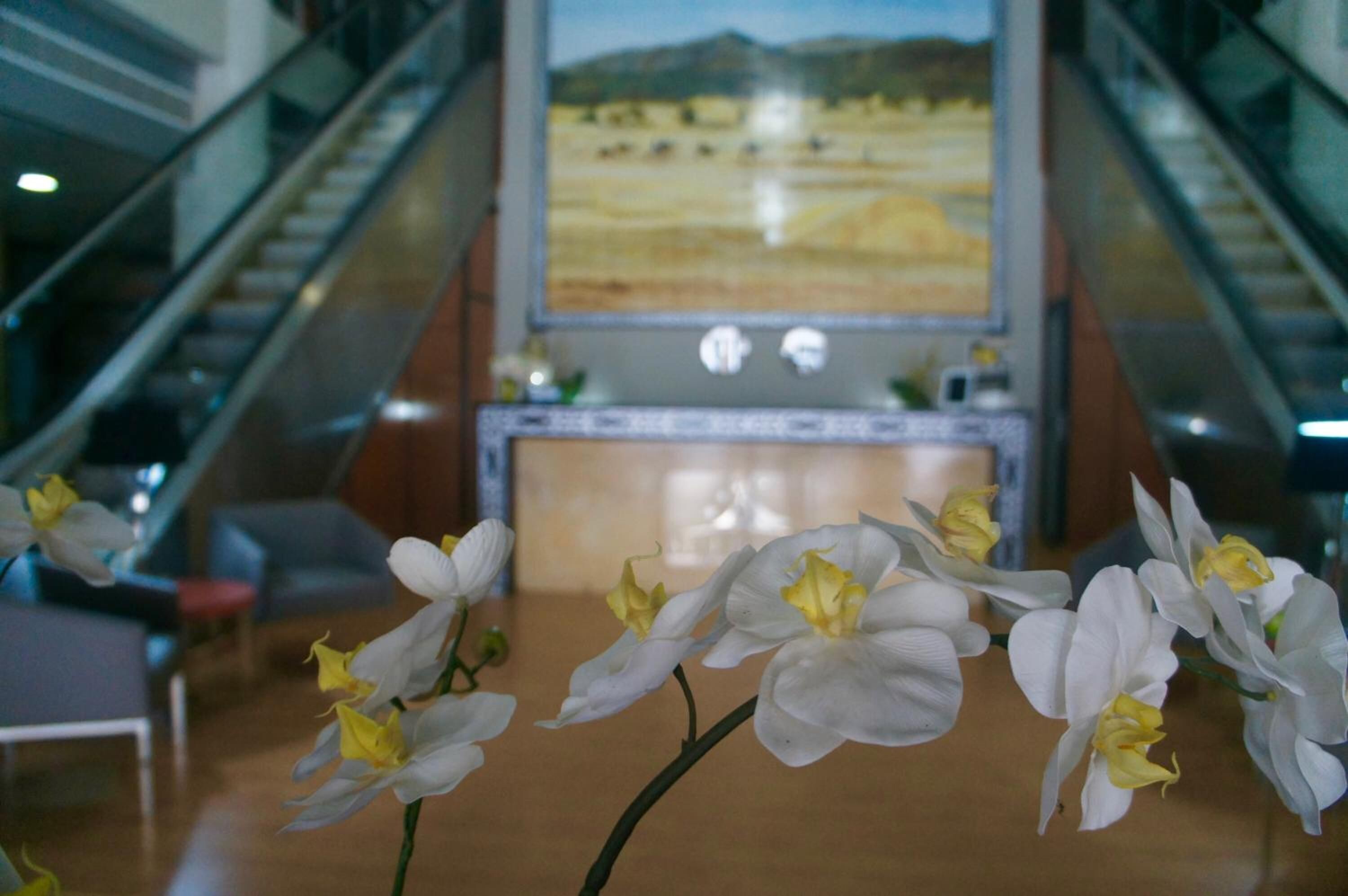 2 restauranter; serverer frokost, aftensmad og internationale retter