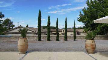 A courtyard with tall cypress trees, a stone wall, and a building with a tiled roof in the background.