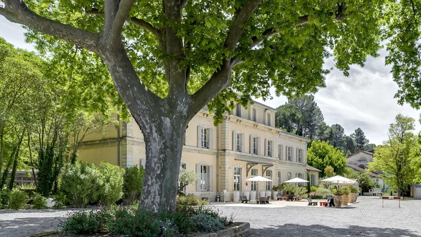 A courtyard with a large tree, outdoor seating, and a building with multiple windows. - Hotel Estelou (Sommieres)