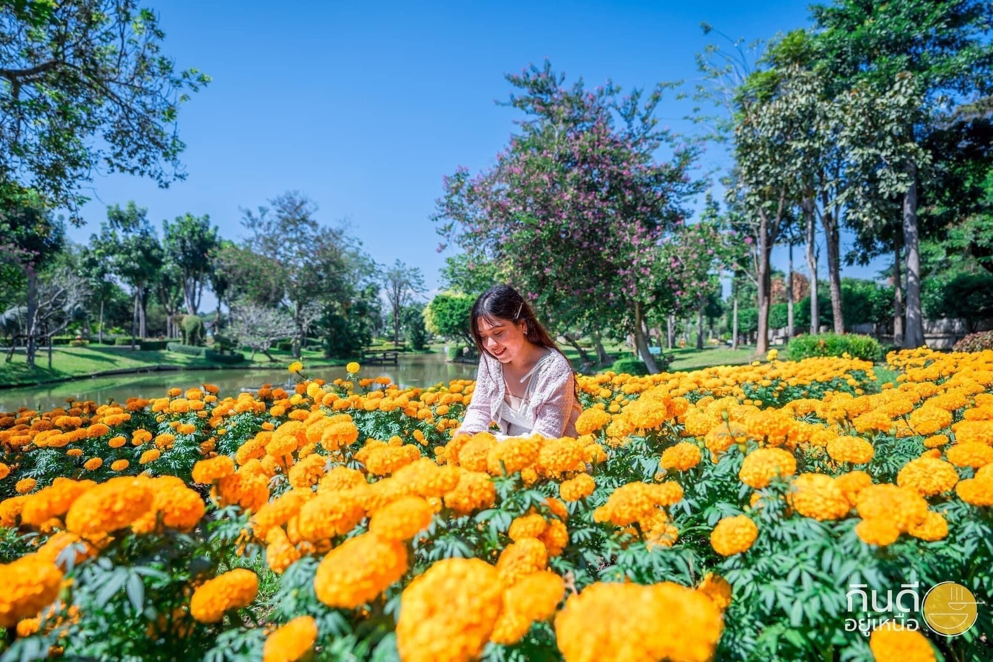 Ngoại thất