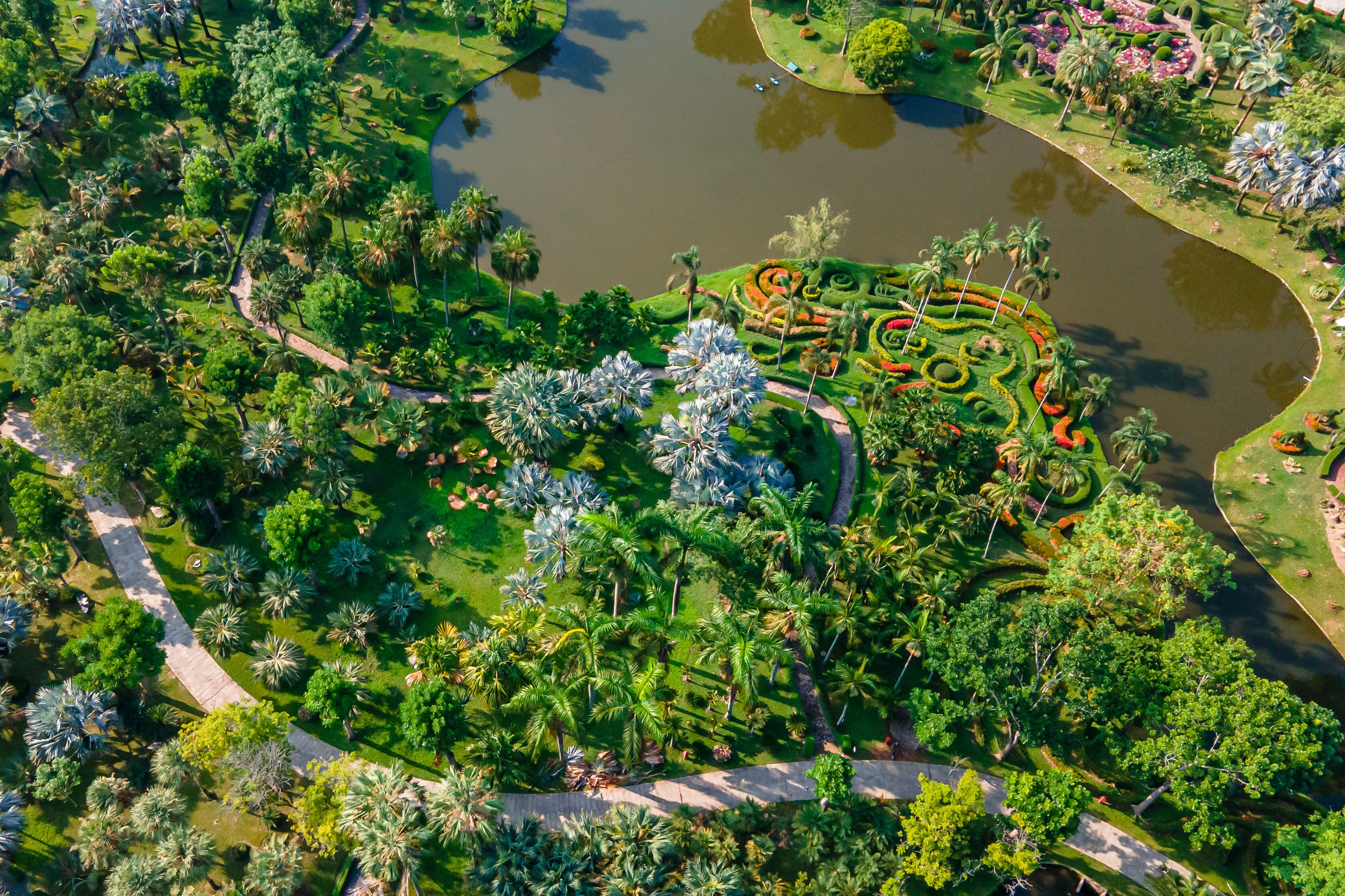 Vista aérea de un parque con un estanque, senderos y varios árboles.
