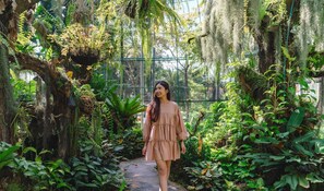 A person walking on a pathway surrounded by lush greenery and hanging moss in a greenhouse-like environment. - Horizon Village & Resort Chiangmai (Doi Saket)