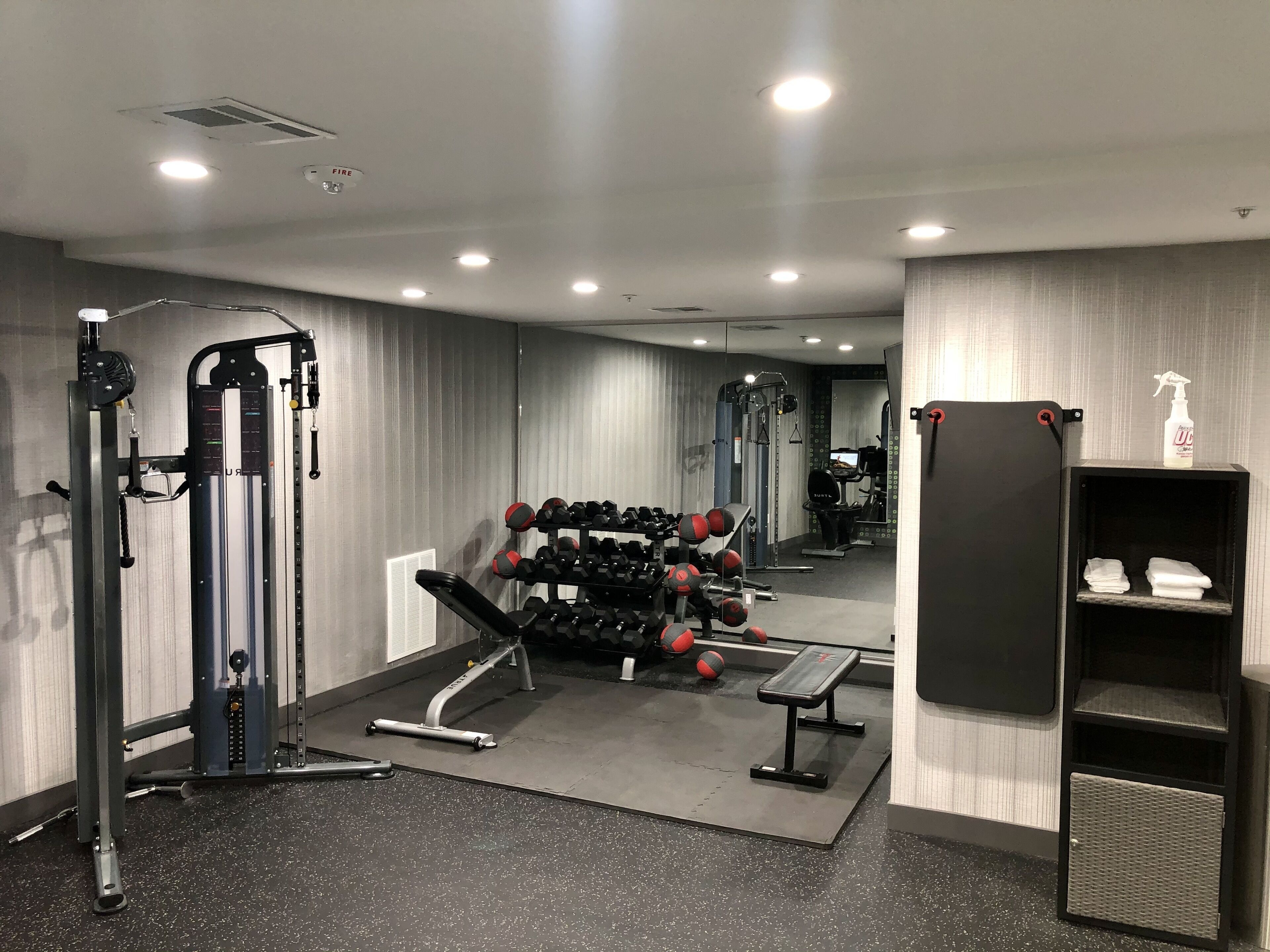 Photo - La Quinta by Wyndham Tampa Central