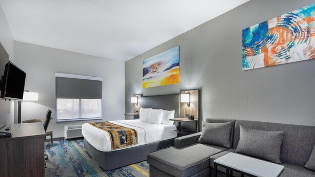 Une chambre d’hôtel avec un lit, un canapé, un bureau, une télévision et un tableau au mur.