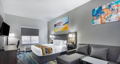 La Quinta Inn & Suites by Wyndham Tampa Central