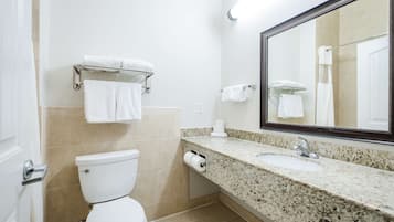 A bathroom with a toilet, sink, and mirror.