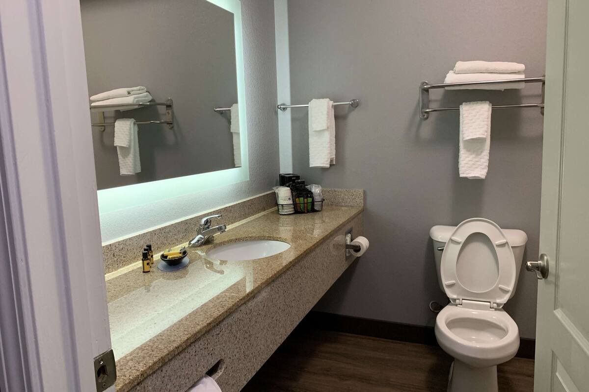 combined shower/bathtub, free toiletries, hair dryer, towels