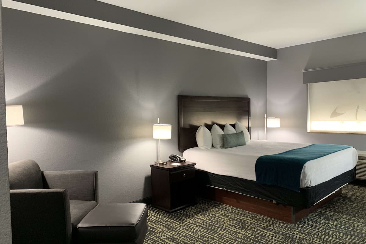 standard room, 1 king bed, non smoking, microwave | 1 bedroom, premium bedding, desk, iron/ironing board