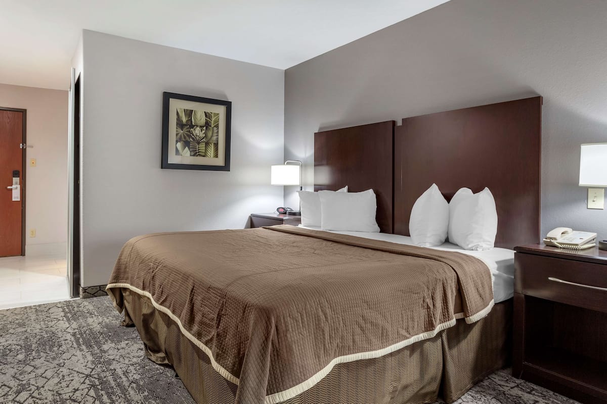 A hotel room with a large bed, a nightstand with a lamp, a wooden headboard, and a framed picture on the wall.