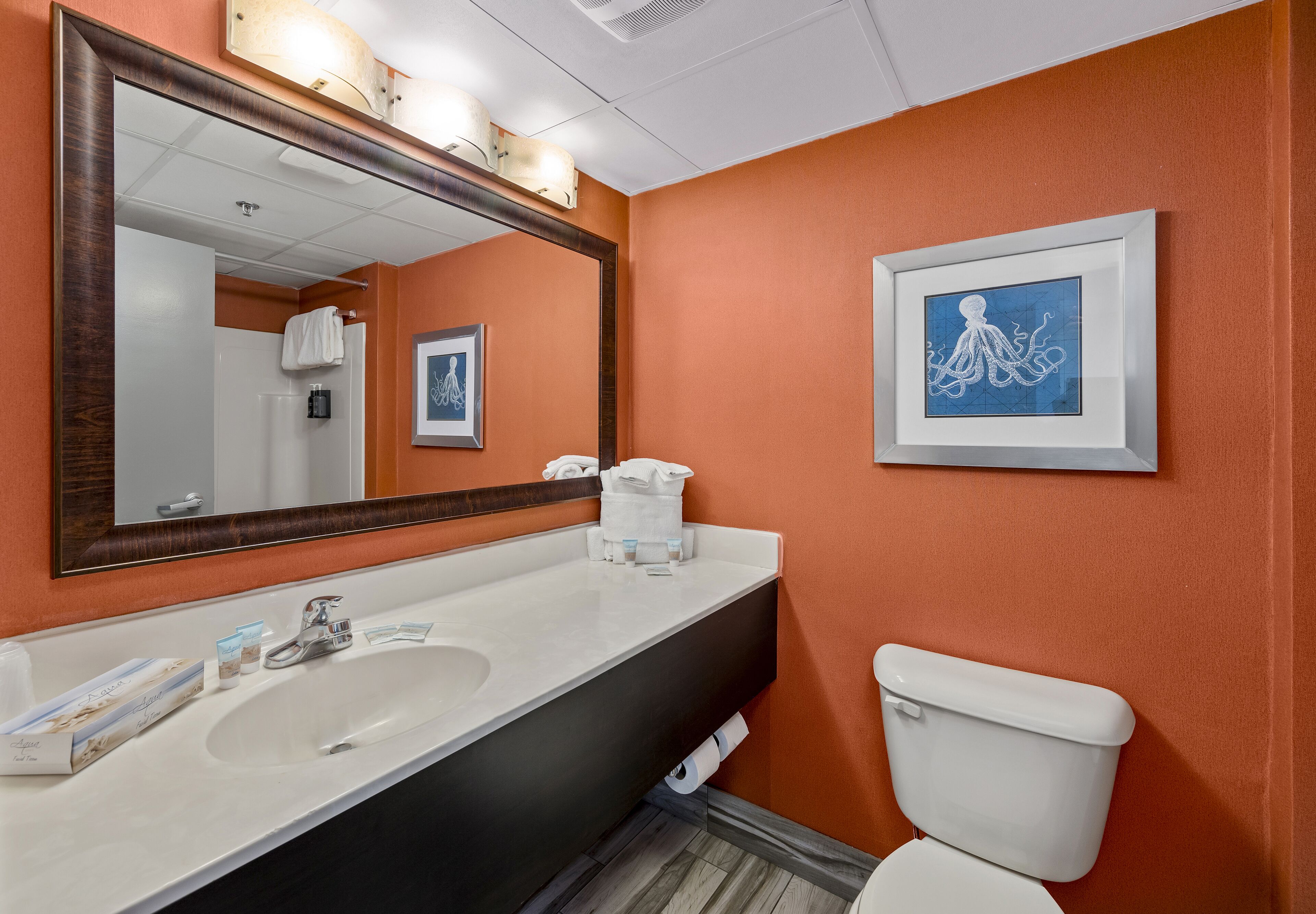Un baño con un lavamanos blanco, un espejo grande y una fotografía enmarcadas de un pulpo en la pared.