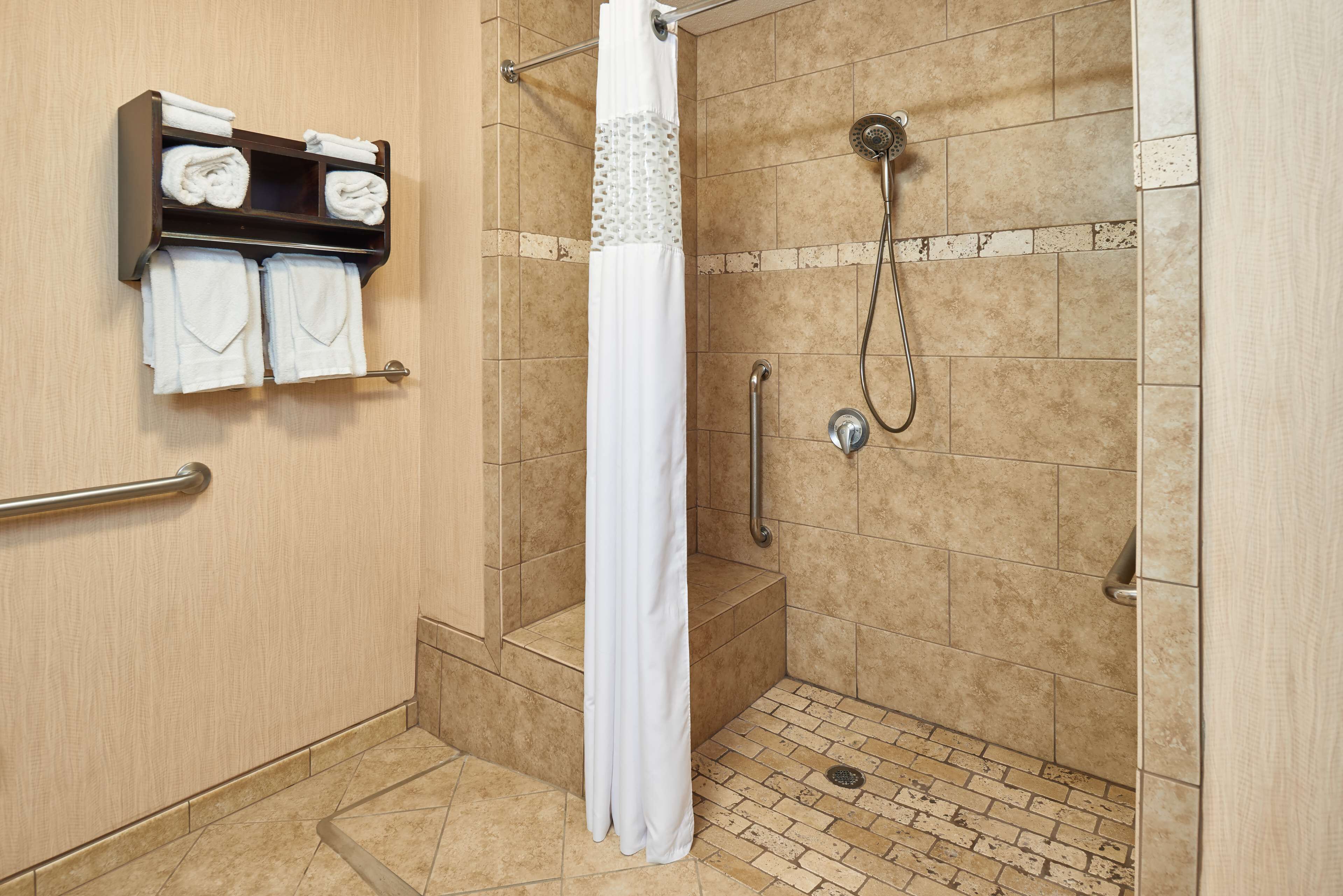 room, 1 king bed, accessible, non smoking | bathroom shower