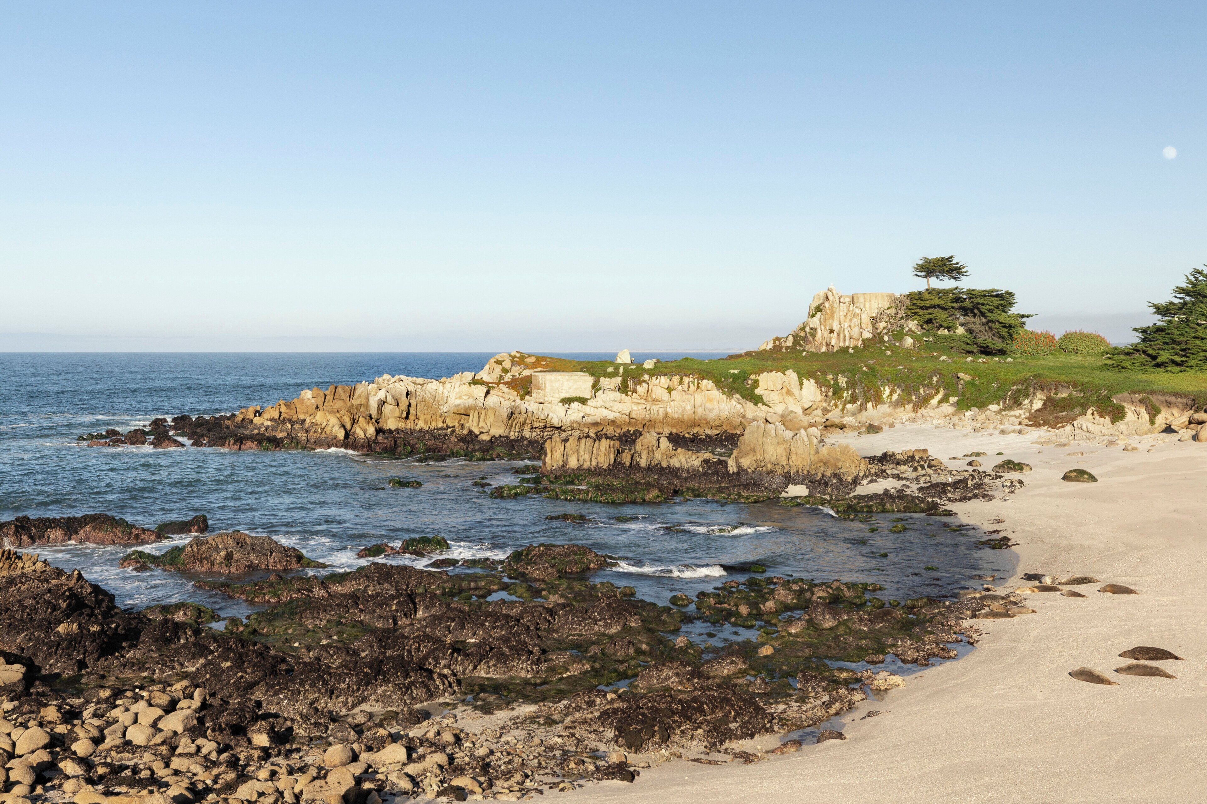 Foto - InterContinental the Clement Monterey by IHG