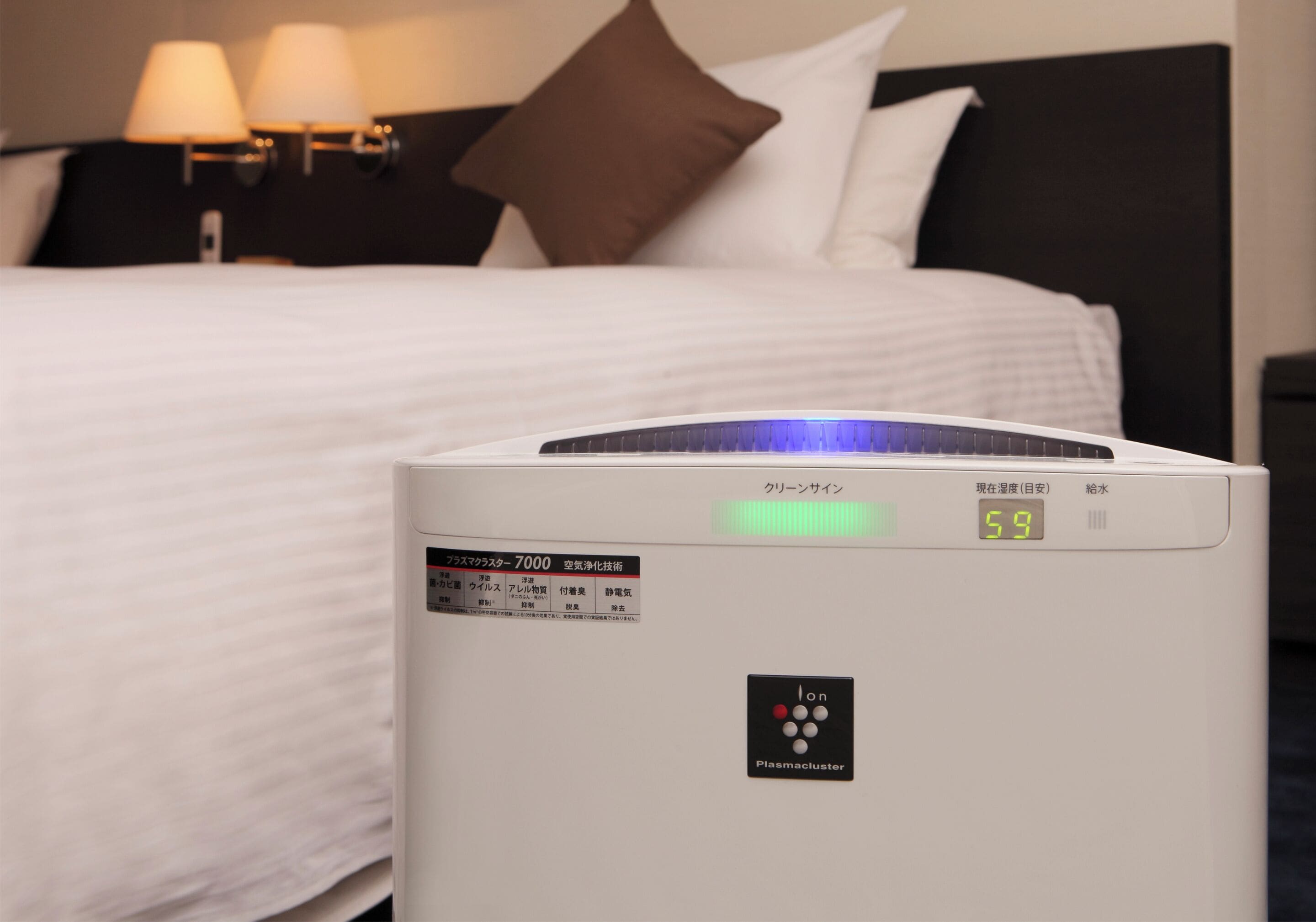 Daunenbettdecken, individuell eingerichtet, Verdunkelungsvorhänge