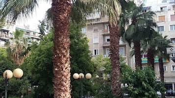 客房景觀